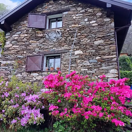 La Baita Nel Bosco Chalet *